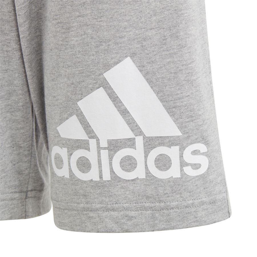 Short Essentials Big Logo Cotton Adidas | HY4720X